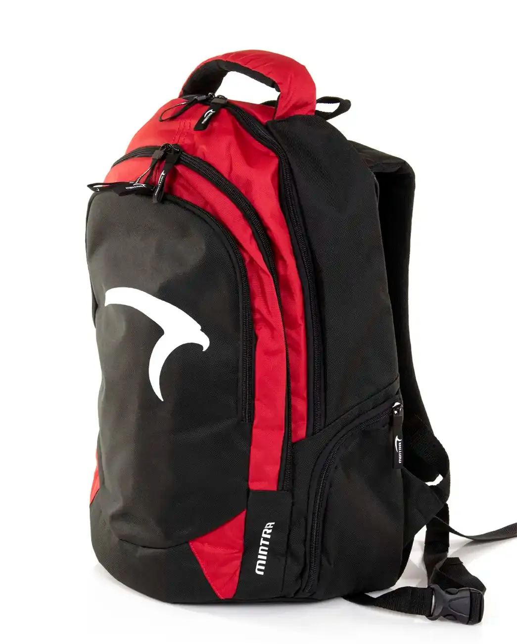 Challenger Backpack (With Laptop Pocket)